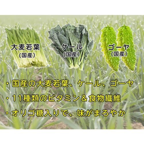 FINE JAPAN Fine Japanese Green Juice, 100g, Made with Domestically Grown Barley Grass, Kale, and Bitter Melon, Contains Vitamin C, Minerals, and Oligo