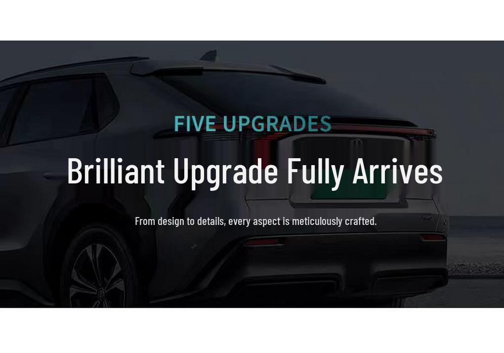 Защита от насекомых на переднюю решетку Toyota BZ4X