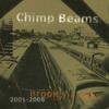 CD CHIMP BEAMS - Brooklyn Days 2001-2008 RMTCD008 Rudiments JPN/C 2008 Япония Танцевальная и Электронная Музыка