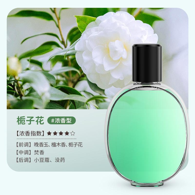 Automatic Aroma Diffuser Smart Scent Spray Programmable Timer USB Refillable Essential Oil Air Freshener for Home