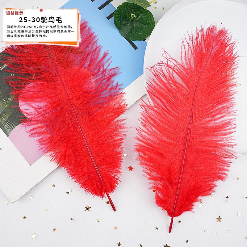 20Pcs57 Big Red Feather Diy Jewelry Accessories Clothing Handicrafts Decorative Materials