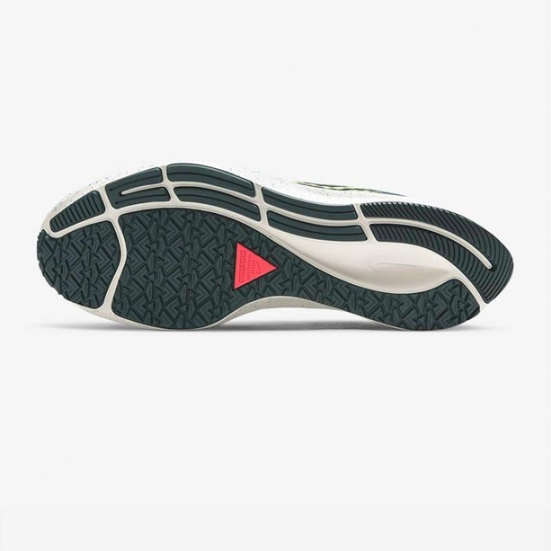 Nike Кроссовки Air Zoom Pegasus 37 Shield Cq7935 300 P2112