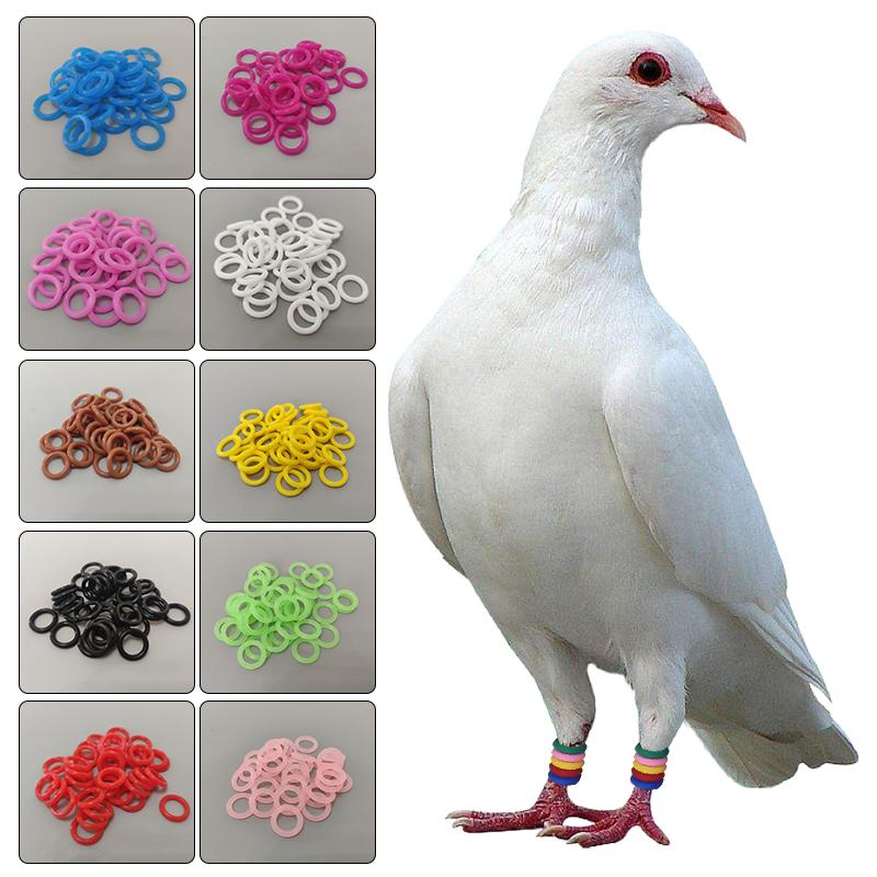 100Pcs Pigeon Bird Foot Rings 8mm Pigeon Identification Foot Rings for Quails Pigeons Clip Rings Bird Appliances Pet Supplies