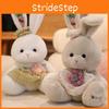 Plaid Cute Dress Cartoon Rabbit Plush Toy For Children Gift And Room Decoration