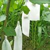 100Pcs Planting Fruit Protection Bags Fabric Planting Pocket Insect Barrier Pouch  for Vegetable