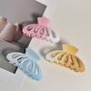 Gradient grip clip Simple shark clip hair clip back head girly pumpkin clip hair clip