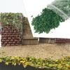33ml Miniature Leaf Static Model Micro Landscape Leaves Railway Bonsai