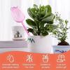 Tulip Plant Watering Globes Planter Insert Self Watering Bulbs Clear Tulip Automatic Watering Spikes for Indoor Outdoor Plants