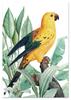 Poster Golden Parrot Exotic Plants
