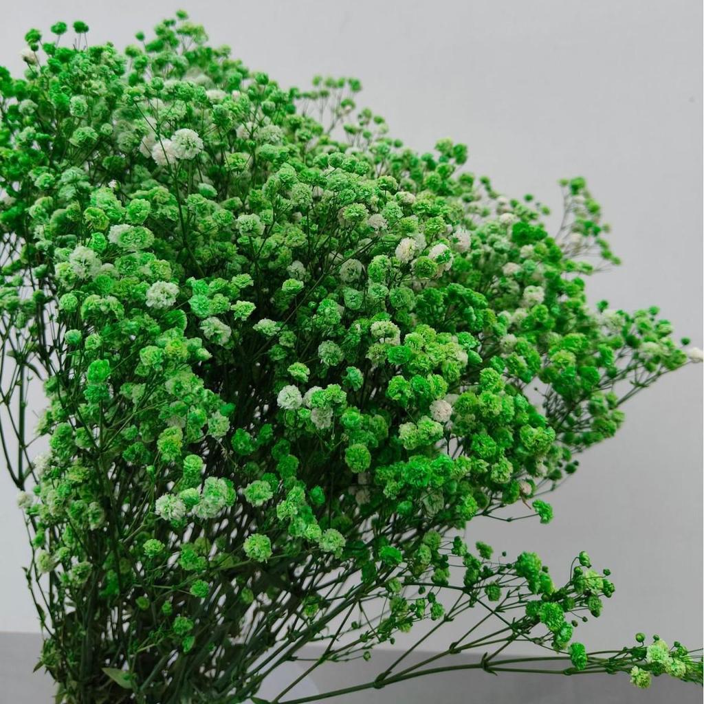 Luxury Gypsophila Preserved Dried Flower Bouquet - Everlasting Decor for Living Room