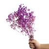 Yunnan Preserved Baby's Breath Bunch - Colorful DIY Home Decor Flower