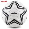 Футзальный мяч Star SB6304