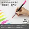 Pentel Art Brush Color Brush Pen Set 6-Color XGFLP-LM6STA