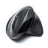 Sanwa Ergonomic Rechargeable Wireless Mouse