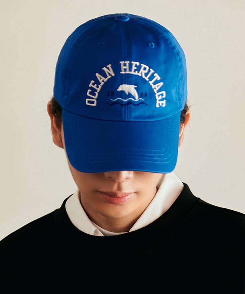 DOLPHIN WAVE APPAREL Синяя кепка-бейсболка с изображением дельфина Ocean Heritage