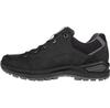 Полуботинки Renegade EVO GTX LOW