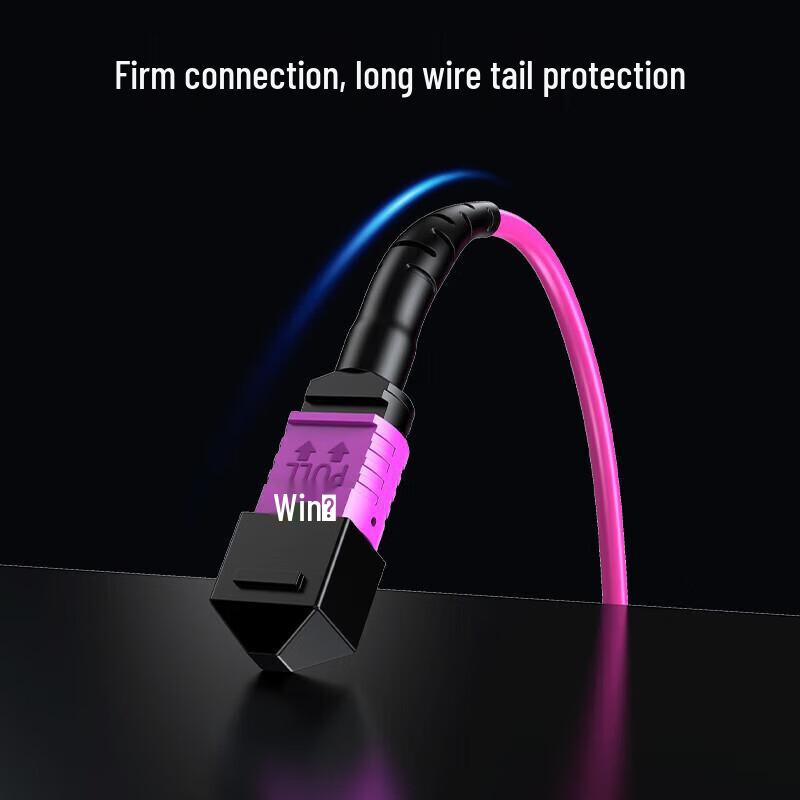 Shengwei 400G/800G Data Center MPO Fiber Optic Patch Cable