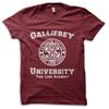 Gallifrey University Time Lord Academy Time Travel TV Parody T-Shirt M5830