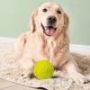 Собака жевательный звуковой мяч игрушка TPR след узор устойчивый к укусам молярный шарик для чистки зубов собаки игрушка для здоровья полости рта кукла
