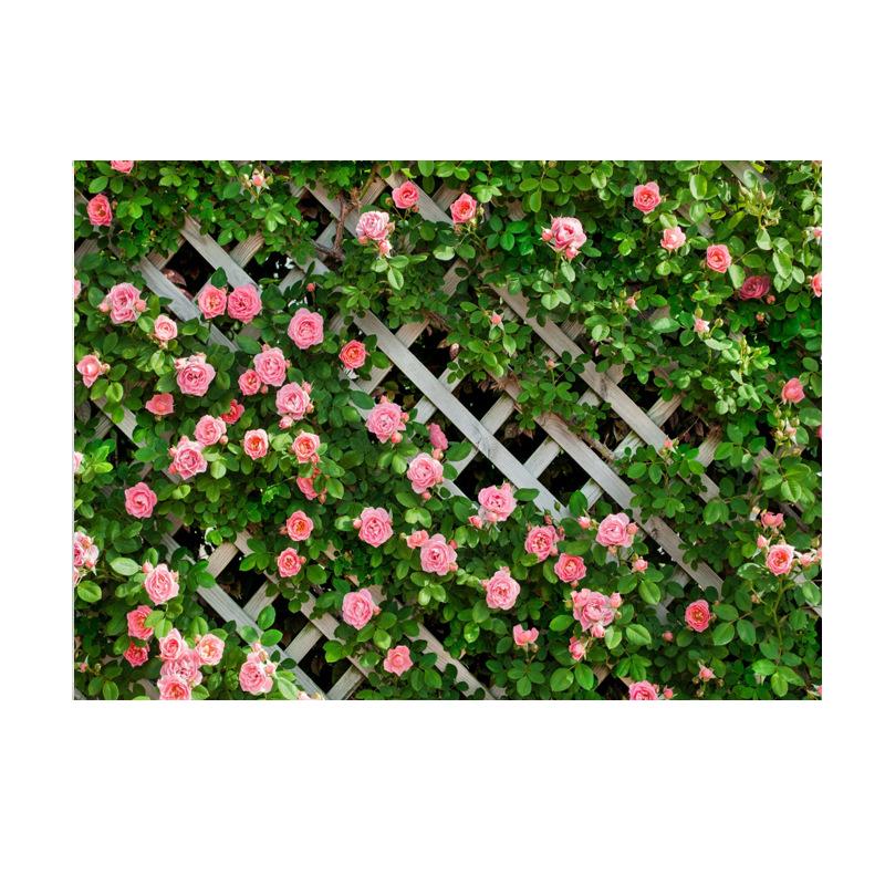 Rose Flower Wall Backdrops Wedding Birthday Floral Theme Party Background