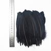 20pcs/Lot Dyed Black Feathers Rooster Goose Feathers for Jewelry Making Ostrich Pheasant Feathers for Crafts Carnaval Assesoires