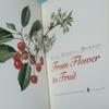 [USED] Books: From Flower to Fruit (botanical art, plant illustrations)