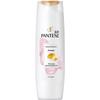 Pantene Шампунь для восстановления окрашенных волос и волос после химической завивки