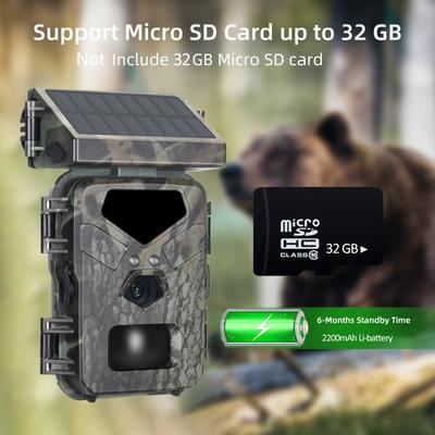 SUNTEKCAM Mini700 20 МП 1080P Фотоловушка, Водонепроницаемая IP65