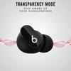 Beats Studio Buds Noise-Cancelling Wireless Earbuds