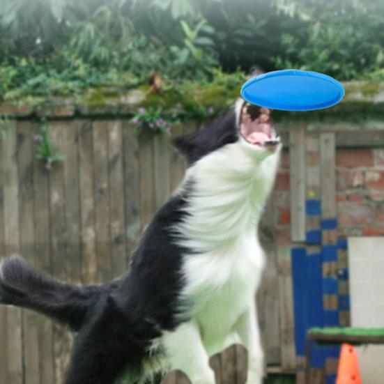 Yousheng Dog Flying Disc Tear Resistant Good Toughness Interactive Exquisite Delicate Sports Tool TPR Funny Flying Saucer Dog Toy for Puppy