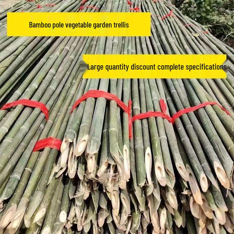 Бамбуковая садовая решетка: Вьющаяся конструкция из огурцов, помидоров и зеленой фасоли