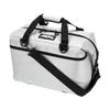 AO Coolers Cooler Box 24 PACK CARBON Silver AOCR24SL [Used]