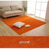 IKEHIKO Moderno Rug, Washable, Water-Repellent, Orange, Approx. 200 X 300cm, Solid Chenille, Simple, Non-Slip, #1292340206602