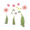 Filling Materials Jewelry Making Beauty Decal Resin Filler Resin Mold Filling Flower Dried Flowers