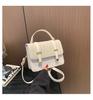 Stylish 2024 New Street Fashion Women's Shoulder Bag Chain Crossbody Bag