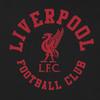 Liverpool FC Mens Graphic Fleece Hoodie