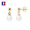 Earrings - Compagnie Générale Des Perles - 6-7 Mm - 750 Yellow Gold - Cultured Pearls - Ball System