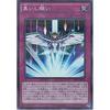 Yu-Gi-Oh! OCG Gathering of Wishes Parallel Super Rare 20AP-JP054-P+SR Yu-Gi-Oh! ARC-V 20th Anniversary Pack 2nd Wave