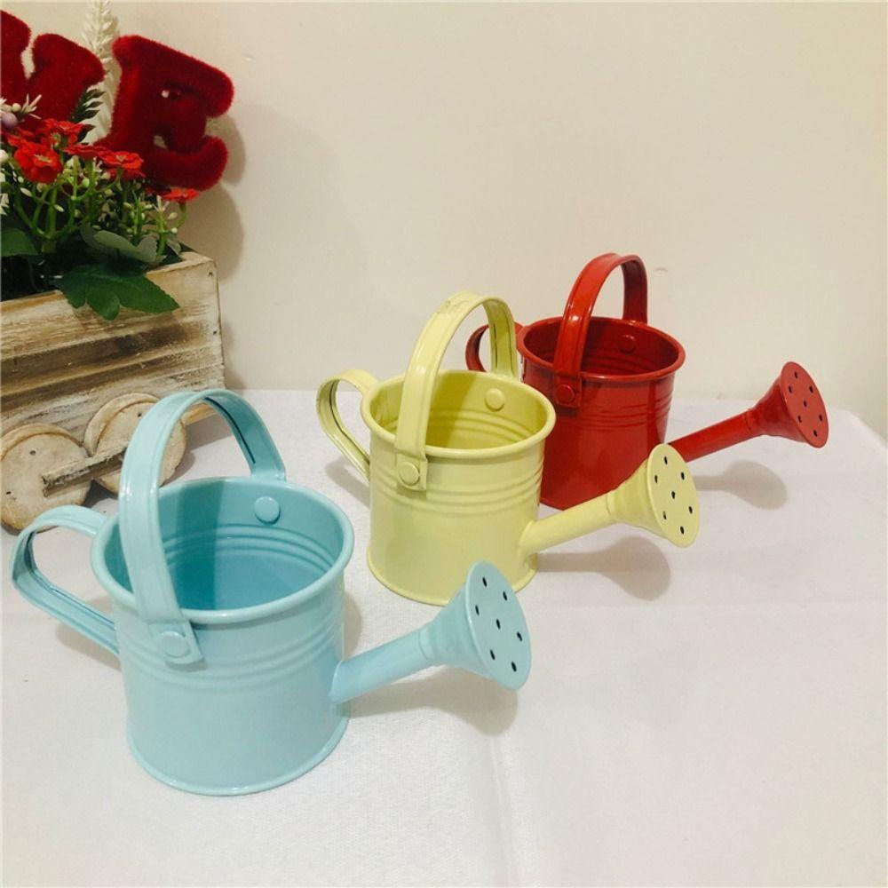 Thickened Water Spraying Pot Large Capacity Sprinkler Creative Mini Metal Watering Can Gardening