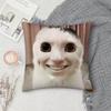 Чехол на подушку с смешным мемом про кота, квадратный, двусторонний принт, короткий плюш, чехол на диванную подушку, для спальни, прикроватной тумбочки