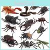 Насекомое Allomyrina Dichotoma Сценографическая Модель ПВХ Образовательная Диорама Для Дома Или Классной Комнаты