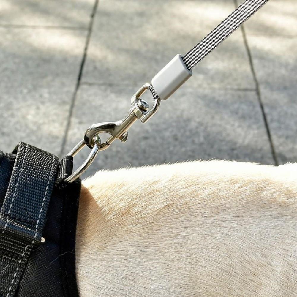 Portable Design Retractable Dog Leash Anti-Escape Mechanism Dogs Auto Retractable Belt Training