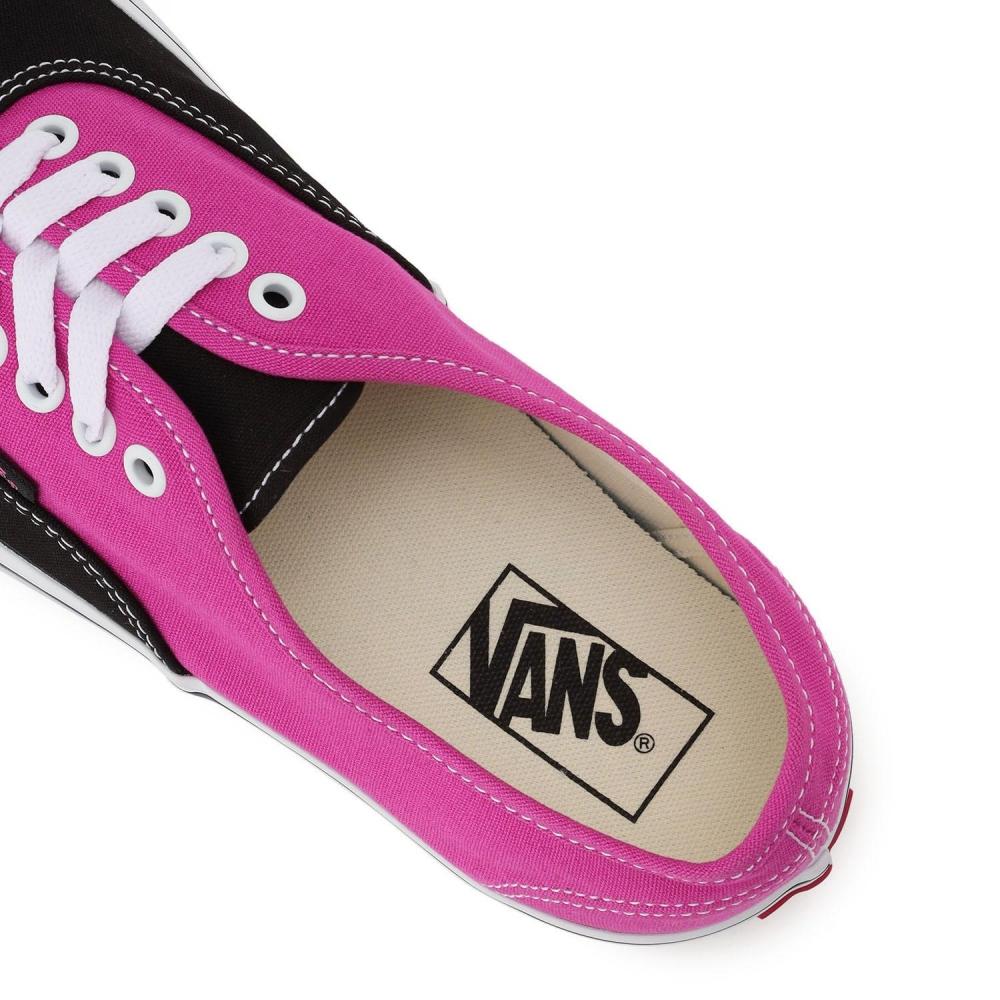 Vans Authentic Pop RaspbeRRy R Vn000bw5ylz