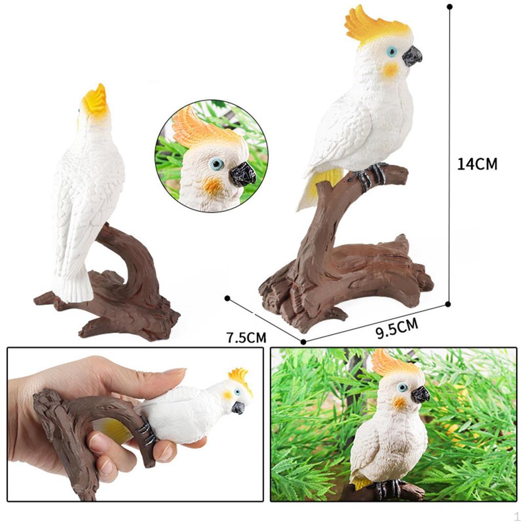 Bird Figurine Parrot Model for Kids Gifts Home Decor