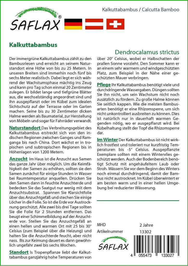 SAFLAX Калькуттский бамбук - 50 семян - Dendrocalamus strictus