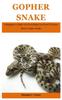 Книга Gopher Snake : A Beginner's Guide On Everything You Need To Know About Gopher Snake