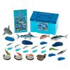 Calorata Saltwater Fish 3D Encyclopedia Species Includes Stand and Realistic Figures Birthday Gift Sanitation Law Fish Gift (15 / Instructions)