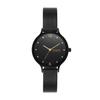 Watch ANITA SKW3112 Black [Skagen] Women's