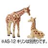 Takara Tomy Ania Giraffe Animal Dinosaur Toy for Ages 3 and Up AC-04 (Children's)