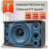 SANSUI Home KTV Audio System (CN version)